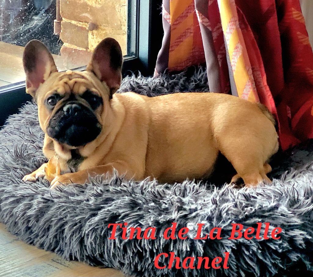 Tina De La Belle Chanel