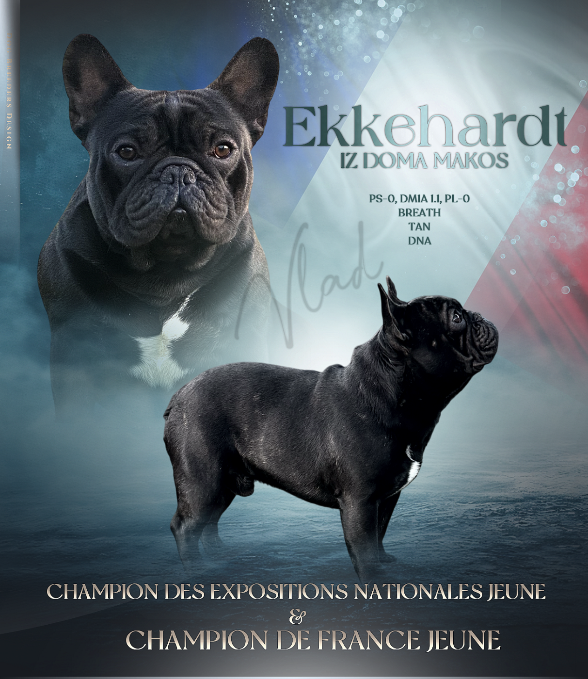 De La Belle Chanel - Champion de France