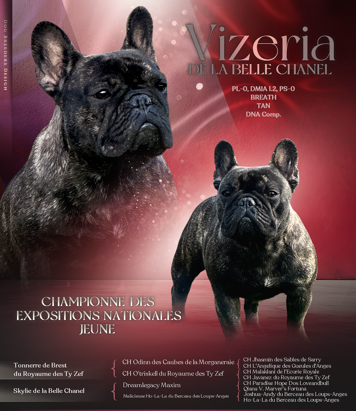 De La Belle Chanel - Champion de France