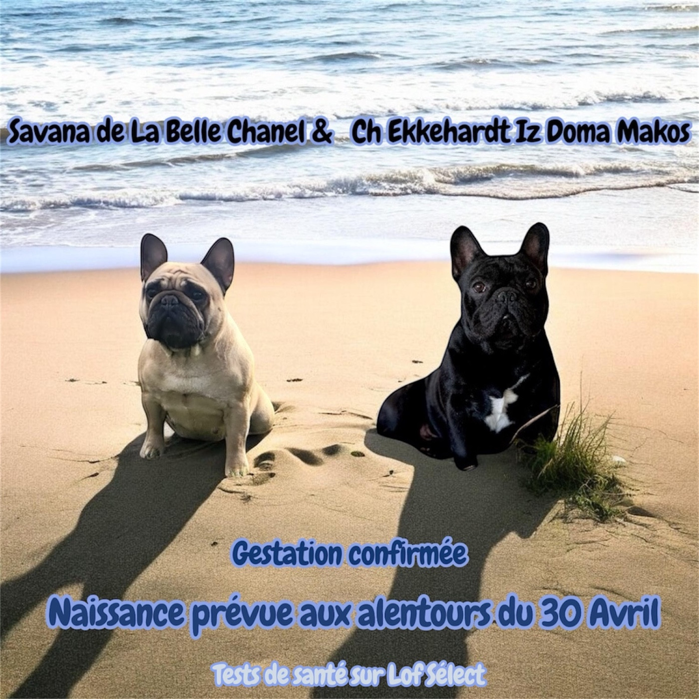 De La Belle Chanel - Premier mariage de l année