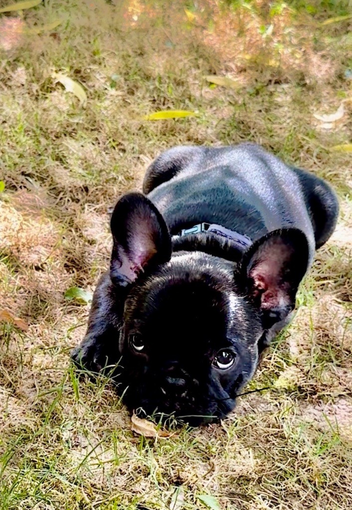 Petit c?ur à prendre ??